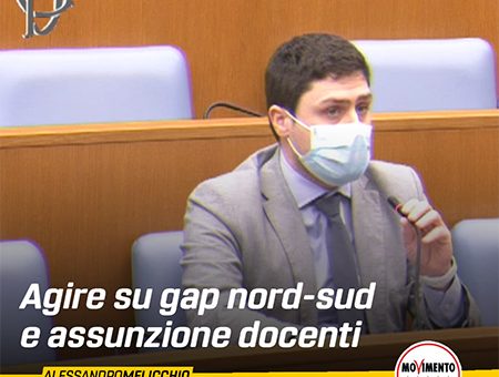 UNIVERSITÀ: AGIRE SU GAP NORD-SUD E ASSUNZIONE DOCENTI